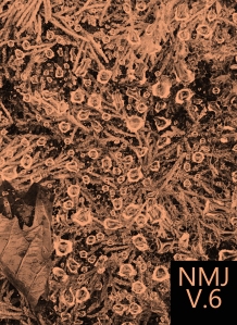 NMJ 6 Cover